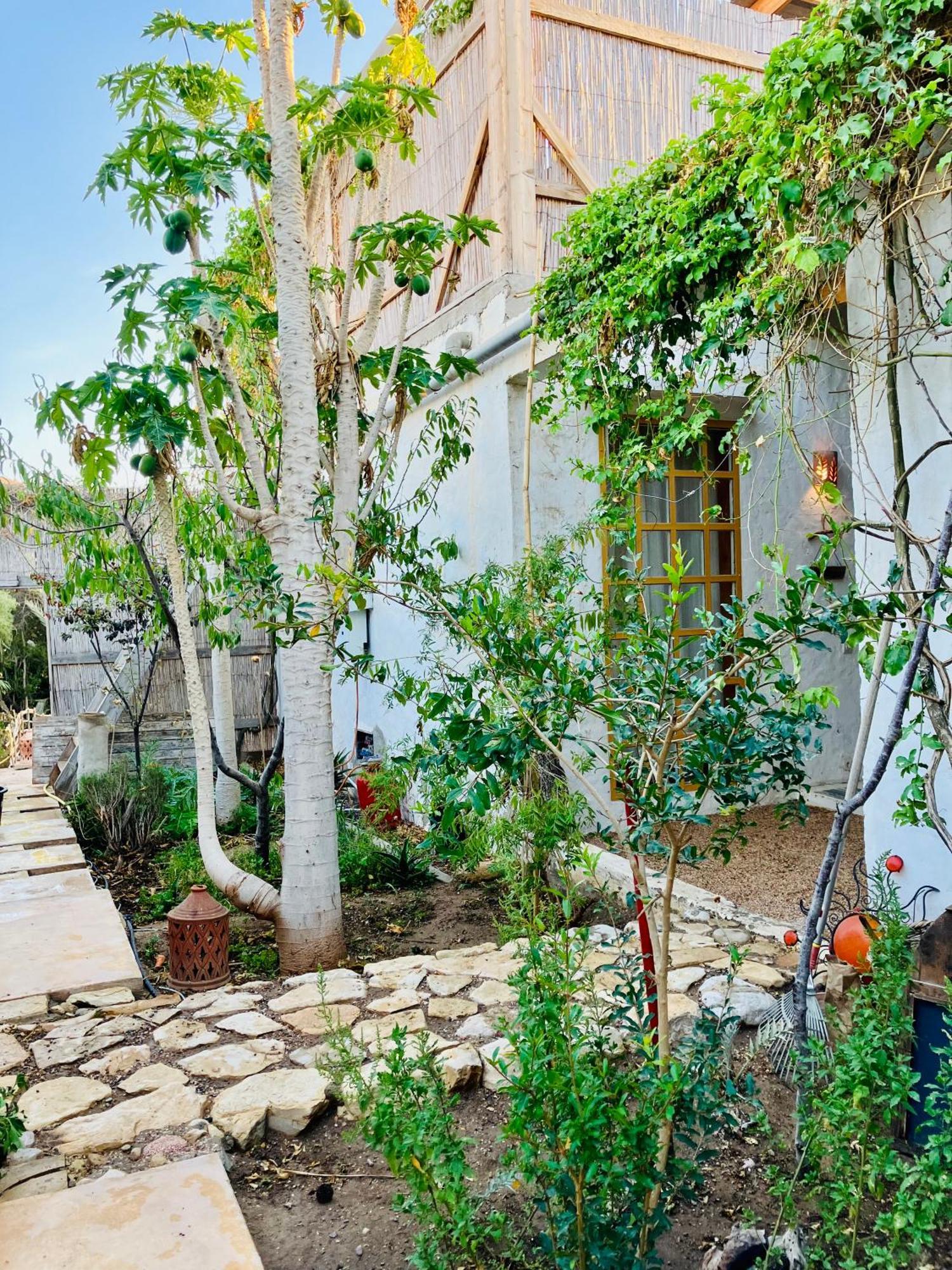Paradise Apartment