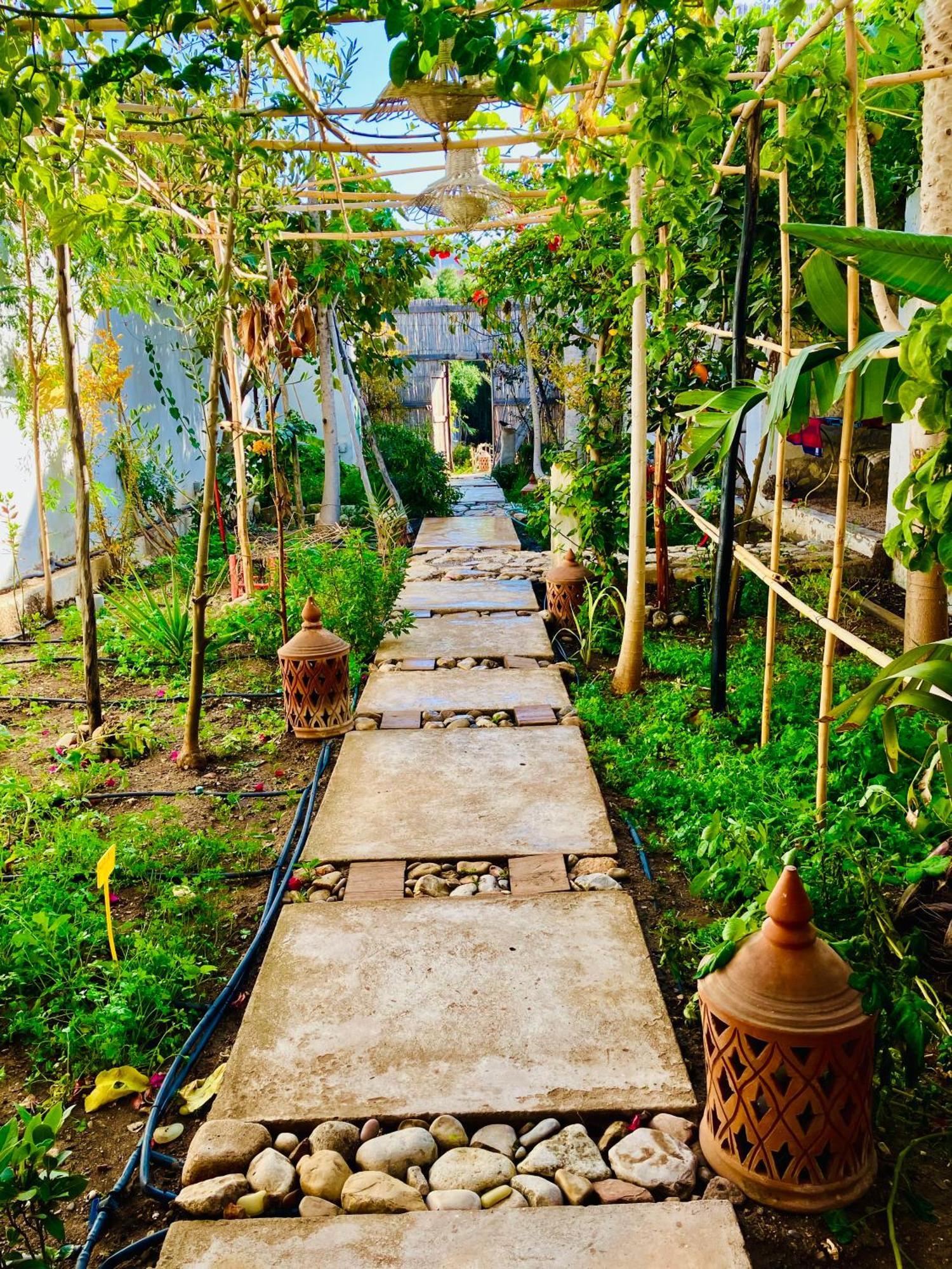 Apartment Paradise